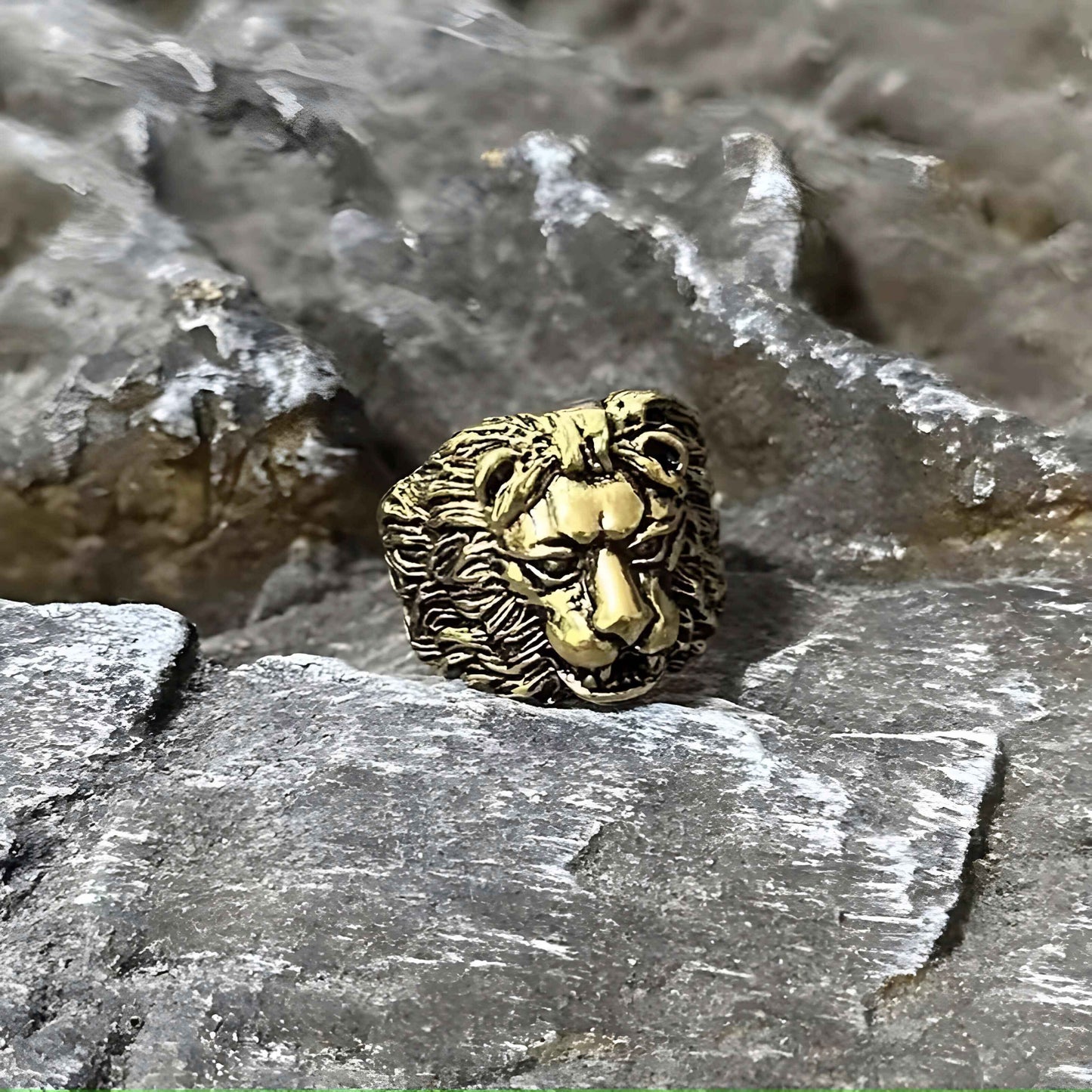 Reign, Steel Lion Ring